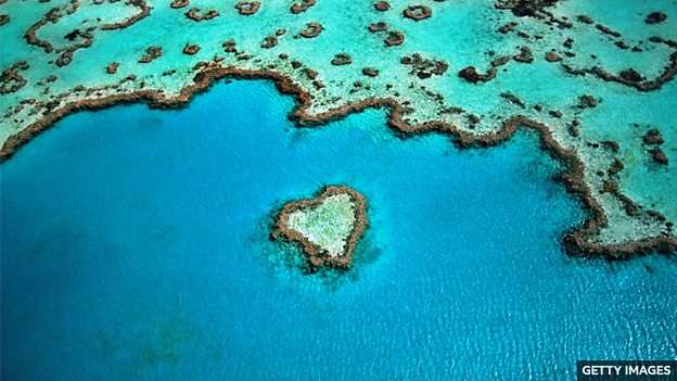 Great Barrier Reef: new study reveals threat of climate change
