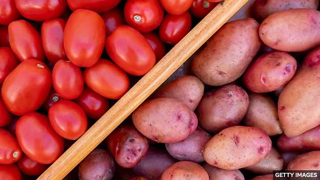 Why potatoes wouldn't exist without tomatoes