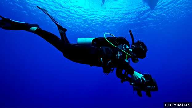 World's largest coral found in the Pacific