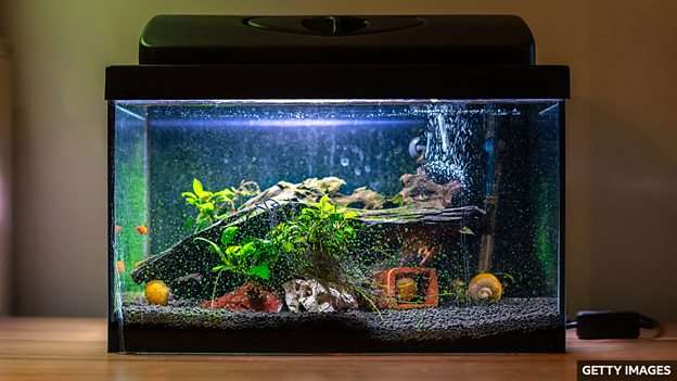 一词一讲：tank