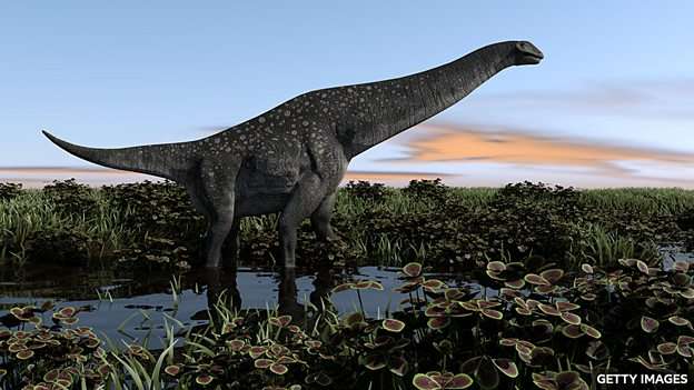 First dinosaur bone from Antarctica found in a drawer