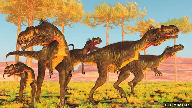 Biggest ever UK dinosaur footprint site discovered